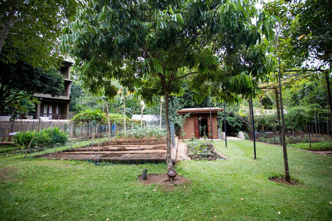 Kalu'S Hideaway Udawalawe Hotel Eksteriør billede