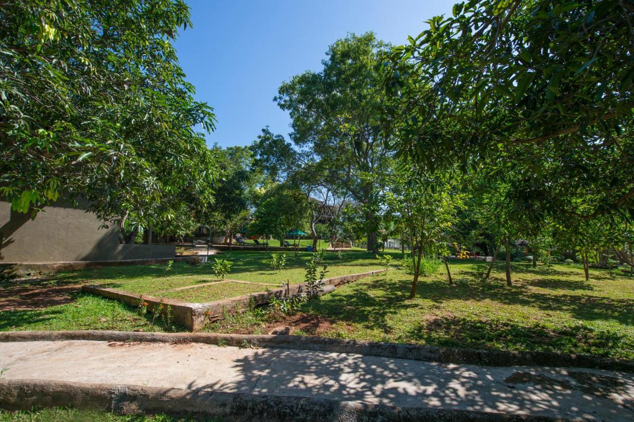 Kalu'S Hideaway Udawalawe Hotel Eksteriør billede